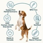 urinary-care+-features-around-dog-cream