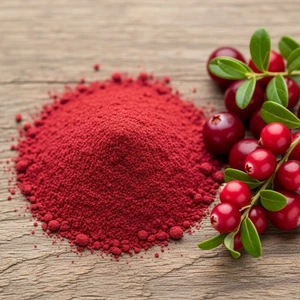 cranberry-extract-powder